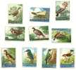 1960 - 510/19 Uccelli    ++++++++ - Unused Stamps