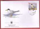 LITTLE TERN - STERNA ALBIFRONS ( Croatia FDC ) Petit Sterne WWF World Widelife Fund Bird Oiseau Birds Oiseaux Vogel Ave - FDC