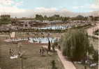 Selestat La Piscine Ed De L'europe Pierron Sarreguemines - Selestat