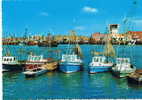 Zeebrugge  Visserssloepen  Bateaux De Peche  Fishing Boats - Zeebrugge