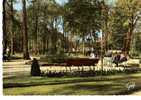 CPSM    93     AULNAY SOUS BOIS     PARC DUMONT     FEMMES SUR UN BANC AVEC LANDAU - Aulnay Sous Bois