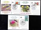 Cactusses,cactus From Botanical Gardens Of Clij-Napoca 3x Postcard,obliteration Concordante - Romania. - Cactus