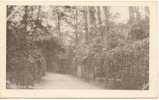 Lot 7 X Pictorial Post Card Warwick Castle C 1910 - Warwick