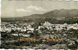 66 - CERET - Vue D´ensemble - Taille 9x14 Des Années 1950-60+Détail Au Dos - Ceret