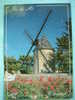 03-17-charente-maritime-saint Martin- Le Moulin Du Morinand- - Saint-Martin-de-Ré