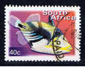 RSA+ Südafrika 2000 Mi 1289 Fisch - Used Stamps