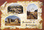 Carte Postale 81. Salvagnac   Trés Beau Plan - Salvagnac