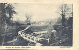 Middle Mill Fields Lyme Regis 1903 - Otros & Sin Clasificación