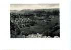 008691 - Comblain-la-Tour  -  Panorama Vers Flairon Vu Des Rochers De La Vierge   Format 15 X 10,5 Cm. - Hamoir