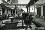 CORDOBA - Parador De La Arruzafa, Terraza / Terrace - Zaragoza