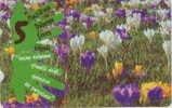 # TURKEY 51 Flower 30 Magnetic  -fleurs,flowers- Tres Bon Etat - Turkije