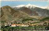 66 - PRADES - Vue Panoramique - Scanée Recto Verso - Prades