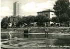 CESENATICO - Aquario Con Delfini - Aquarium Avec Dauphins / Dolphins / Delphinen - Cesena