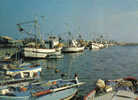 Carte Postale 66.  Saint-Cyprien Flotille De Pêche à Quai  Trés Beau Plan - Saint Cyprien