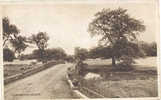 Honington Bridge Puble Coleman High Street Shipston On Stour To Grove Brack Connecticut C 1910 (Dad's Army Related) - Autres & Non Classés