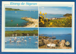 Frankreich; Etang De Sigean; Multivue - Sigean