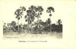 Les Coquères à Cococodji - Dahomey
