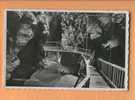 G690 Gorges Du Trient, Passerelle En Bois. Cachet 1942, Manque Timbre. Visa Censure 1939 - Trient