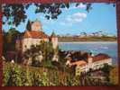 Meersburg - Schloss Ort Alpen (Montage) - Meersburg