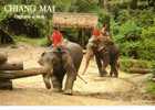 CPSM. ELEPHANTS AT WORK. CHIANG MAI. THAILAND. DATEE 1996. FLAME - Olifanten