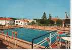 17.765/ JONZAC - La Piscine (cpm) - Jonzac