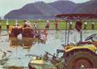 ZD1886 Agriculture Mechanized Equipment Is Now Widely Used On Japanese Farms  Not Used PPC - Bauernhöfe