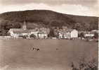 St Rémy Les Chevreuse Lepanorama Avec Vaches, Ed D'art A.p Versailles - St.-Rémy-lès-Chevreuse