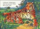 1992 RUSSIA Nature Conservation MS-Tiger Cubs - Blocks & Kleinbögen
