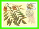 CARTES MAXIMUM - FLEURS, ARBRES - RUSSIE - CCCP - 1980 - - Cartes Maximum