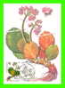 CARTES MAXIMUM - FLEURS, ARBRES, PLANTES - RUSSIE - CCCP - 1985 - - Maximum Cards