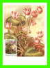 CARTES MAXIMUM - FLEURS, ARBRES, PLANTES - RUSSIE - CCCP - 1983 - - Maximum Cards