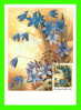 CARTES MAXIMUM - FLEURS, ARBRES, PLANTES - RUSSIE - CCCP - 1983 - - Cartoline Maximum