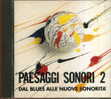 CD NEW AGE PAESAGGI SONORI 2  DAL BLUSE ALLE NUOVE SONORITA - Nueva Era (New Age)