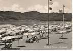 Marina Di Carrara  (MASSA) - La Spiaggia - Carrara