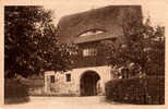 RAR Muldental Bei Colditz - Tiergarten Eingang Um 1930 - Colditz