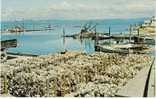 Nahcotta WA, Willapa Bay Long Beach Peninsula, Oyster Industry, Boats, On C1960s Vintage Postcard - Otros & Sin Clasificación