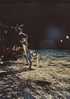 Premiers Pas Sur La Lune.APOLLOI XI. Juillet 1969. Aldrin Déroulant 1 Feuille D'alu Pour Capter Les Particules Solaires - Espacio