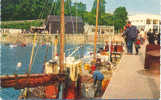 Padstow The Harbour - Other & Unclassified