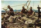 CPSM     EXPEDITION        KON TIKI 1947           A DAY S CATCH            CAPTURE DE REQUINS - Other & Unclassified