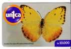 BUTTERFLY  ( Venezuela ) * Papillon Butterflies Schmetterling Papillons Mariposa Farfalla Animal Animals Insect Insects - Vlinders