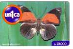 BUTTERFLY  ( Venezuela ) * Papillon Butterflies Schmetterling Papillons Mariposa Farfalla Animal Animals Insect Insectes - Butterflies