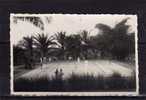 TH SPORTS Tennis, Photo 9x14, Partie De Tennis, Joueurs Sur Un Court, Afrique Noire, 194? *** A LOCALISER *** - Tennis