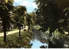 CPSM. REVIGNY SUR ORNAIN. PETIT CANAL ET PROMENADES. DENTELLEE - Revigny Sur Ornain