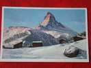 Winter Bei St. Moritz (Saint Maurice) Ed. Stehli N° 1026 - Saint-Maurice
