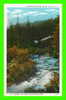BLACK HILLS, SD - SPEARFISH CANYON - SUMMER COTTAGE AND FISHING MEN - L.B. HOLLISTER - - Other & Unclassified