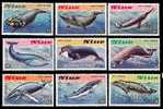 (005) Niue  Marine Mammals / Whales / Baleines / Wale  ** / Mnh  Michel 502-10 - Niue