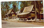 ASIA-376   MALAYA-MALACCA : Typical Malay Attap House - Malesia