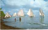 Papette : Course De Pirogues à Voiles. - Tahiti