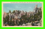 BLACK HILLS, SD. - NEEDLES HIGHWAY, SHOWING BIG TUNNEL, CUSTER SATE PARK - - Other & Unclassified