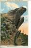 1 X Very Old USA Postcard - Carte Ancienne Etat Unis / Blowing Rock - Autres & Non Classés